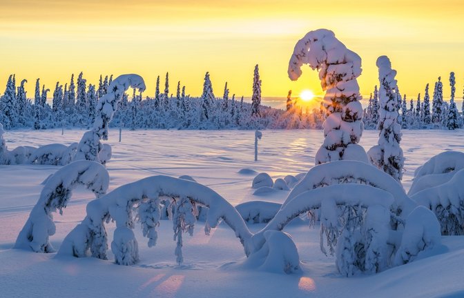 Arctic Warrior wird in Finnland gedreht.<span class='image-autor'>Foto: Mats Lindberg / shutterstock.com</span>