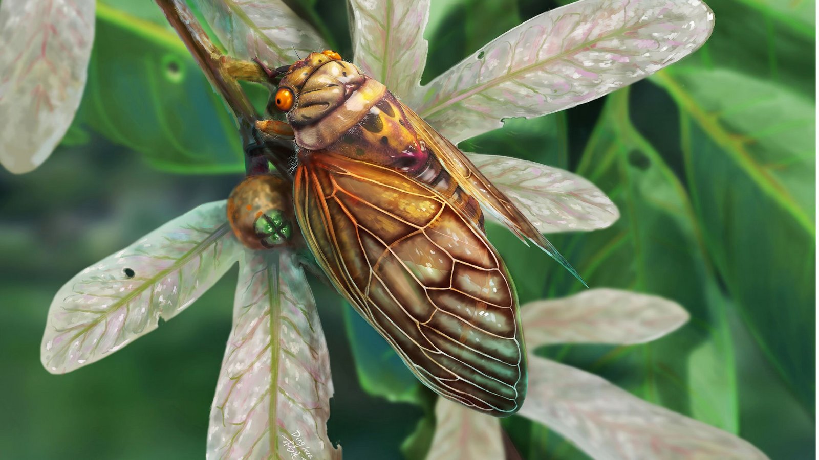 Rekonstruktion der neu beschriebenen Zikadenart Eoplatypleura messelensis.Foto: Dinghua Yang/Senckenberg Forschungsinstitut