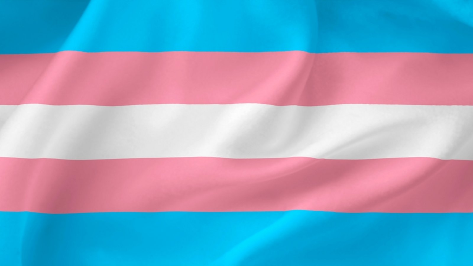 Transgender-Flagge: Die Transgender Pride Flagge hat fünf horizontale Streifen: zwei hellblaue, zwei rosa und einen weißen in der Mitte. Das Hellblau steht für die traditionelle Farbe für Jungen, das Rosa für die traditionelle Farbe für Mädchen, und der weiße Streifen steht für alle, die sich in der Transition befinden, geschlechtsneutral oder nicht-binär sind.Foto: Uliana26/Shutterstock
