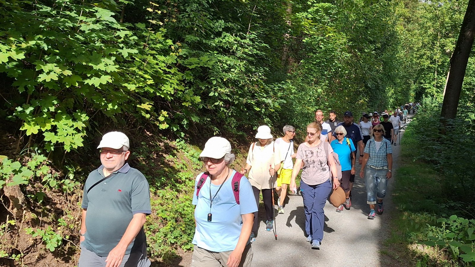 Durch die Natur: Die Wanderstrecke ist dieses Jahr rund zehn Kilometer lang.  