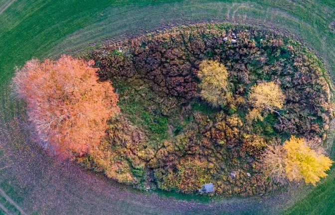 Mecklenburg-Vorpommern, Redefin: In einem sogenannten Soll auf einem Acker sind die Blätter von Bäumen und Sträuchern herbstlich gefärbt.<span class='image-autor'>dpa/Jens Büttner</span>