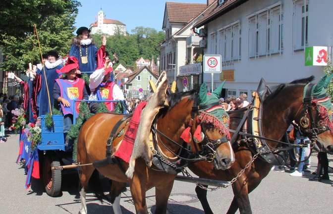 Mehr als 100 Gruppen mit rund 2500 Teilnehmenden werden durch die Stadt ziehen. Archivfoto: VKZ/Banholzer