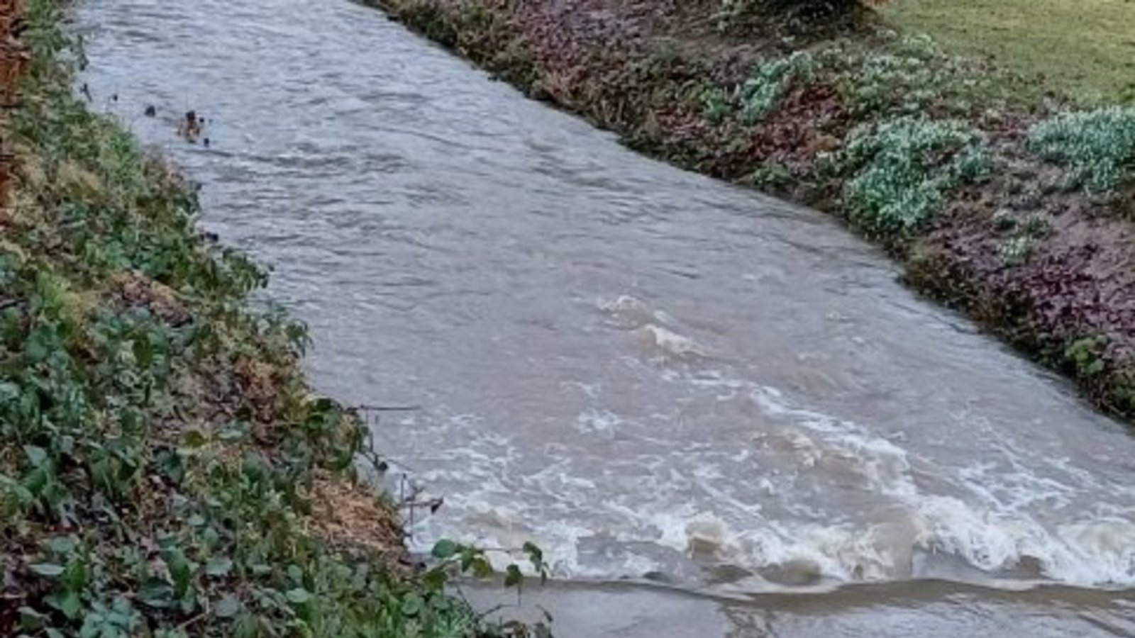 Gewässerrandstreifen haben in Häfnerhaslach für kritische Nachfragen gesorgt. Symbolfoto: Rücker Gewässerrandstreifen haben in Häfnerhaslach für kritische Nachfragen gesorgt. Symbolfoto: Rücker