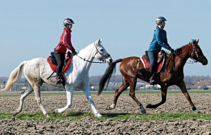 Finnja und Sina Röhm (von links) sicherten sich mit einem Reittempo von 16 Kilometern pro Stunde bei der Donautal-Distanz über 82 Kilometer den Sieg. Foto: privat