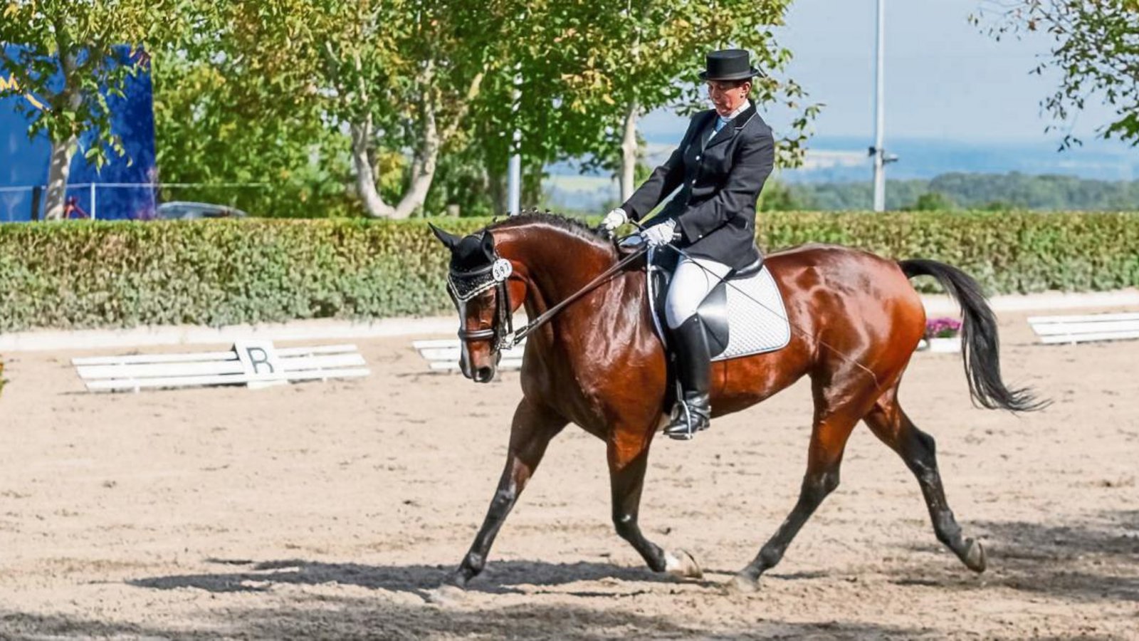 Bettina Herdrich vom RFV Münchingen hat auf Get Fuzzy die Dressurprüfung der Klasse L* Kür Kandare gewonnen. Foto: Simecek