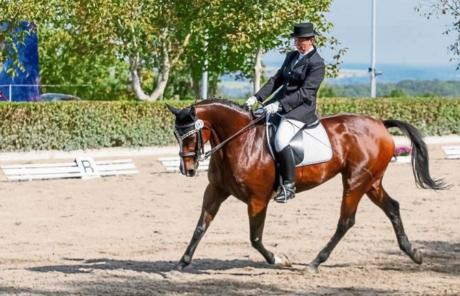 Bettina Herdrich vom RFV Münchingen hat auf Get Fuzzy die Dressurprüfung der Klasse L* Kür Kandare gewonnen. Foto: Simecek
