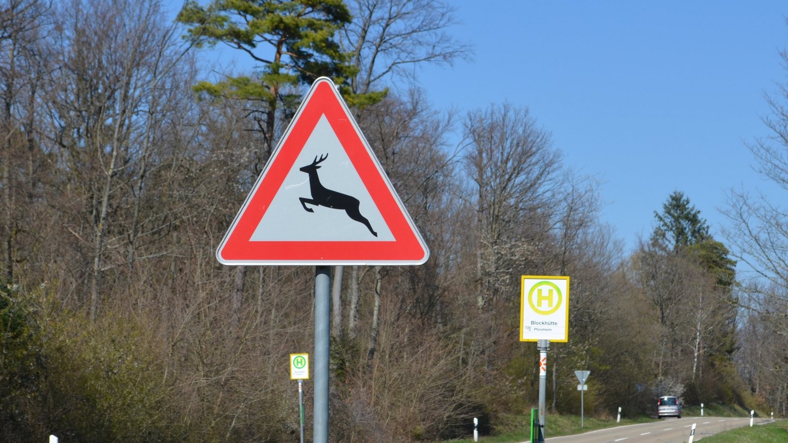 Nach der Zeitumstellung besteht erhöhte Gefahr von Wildunfällen. Deshalb ist besondere Vorsicht geboten. Foto: Brenneis/LE Nach der Zeitumstellung besteht erhöhte Gefahr von Wildunfällen. Deshalb ist besondere Vorsicht geboten. Foto: Brenneis/LE