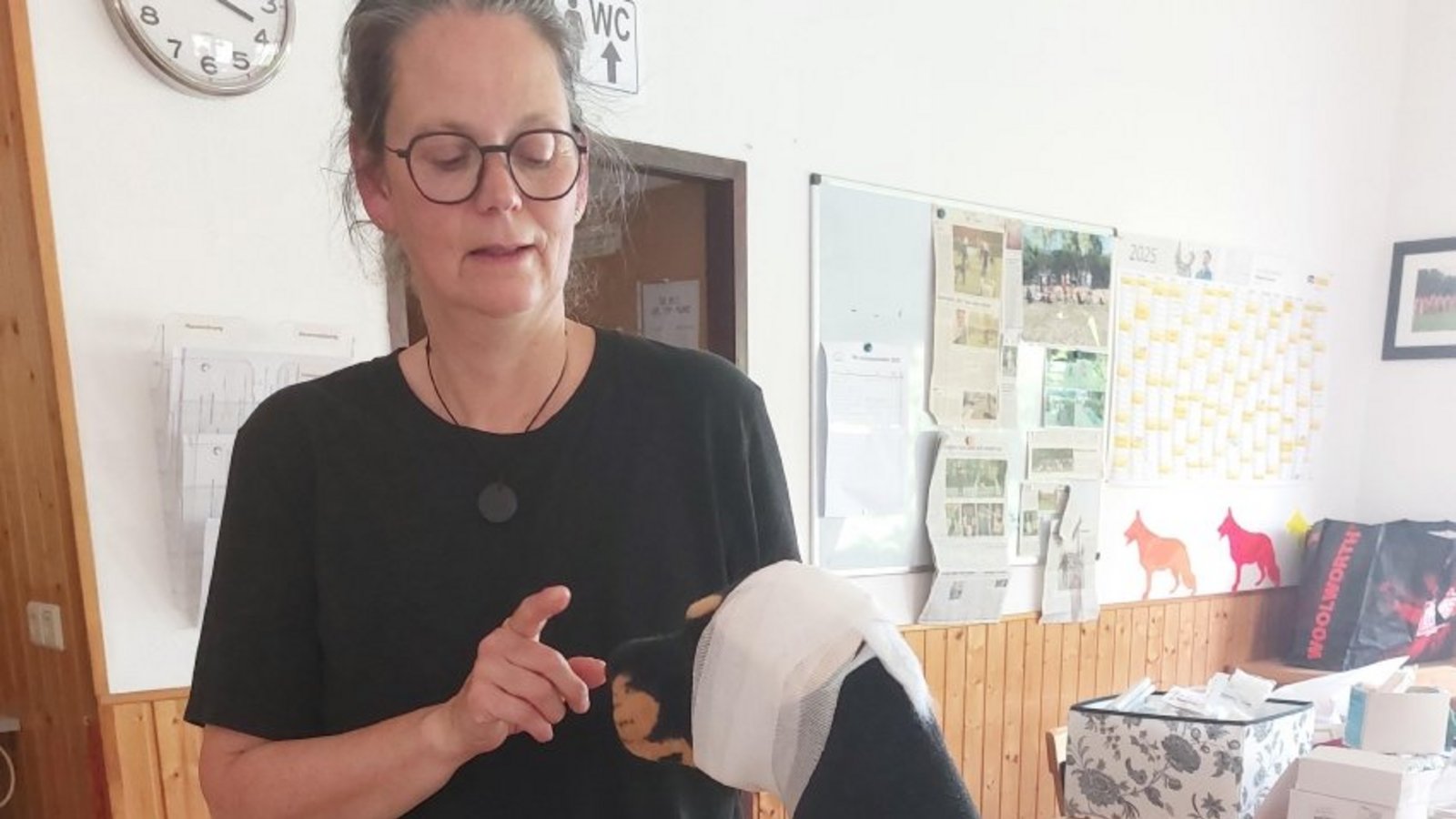 So wird’s gemacht: Anja Diem demonstriert an „Hund Willi“ die Erste Hilfe. Foto: p So wird’s gemacht: Anja Diem demonstriert an „Hund Willi“ die Erste Hilfe. Foto: p