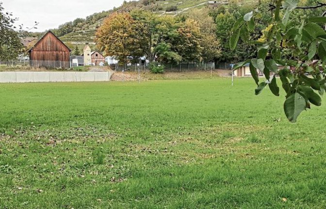 Der Turnverein Ochsenbach könnte einen Teil des Sportplatzes als Bolzplatz zur Verfügung stellen. Fotos: Glemser
