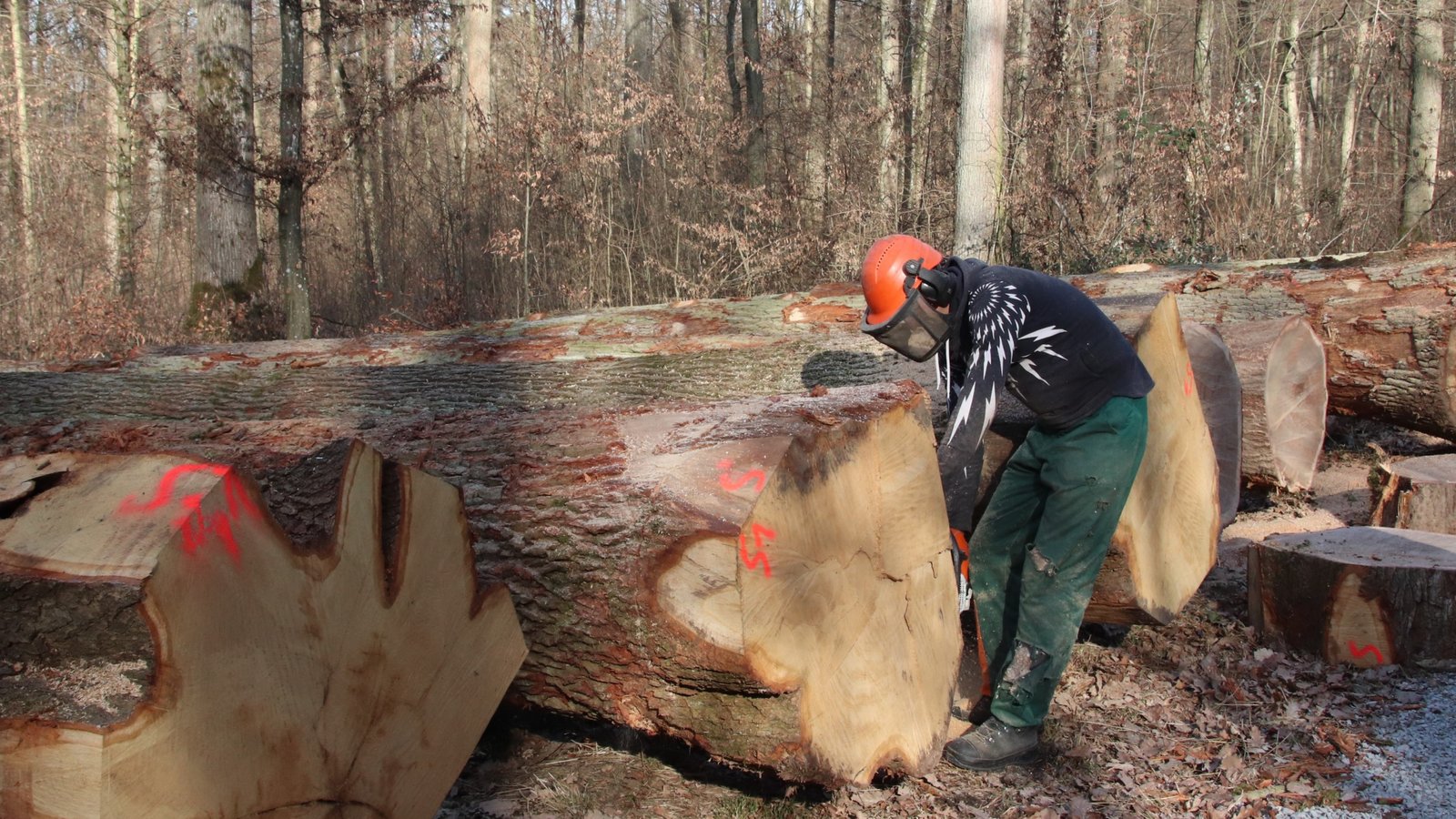 Die Brennholzsaison im Kreis Ludwigsburg beginnt erst. Holzklau ist hier vielleicht auch deshalb noch kein Thema. Foto: Archiv