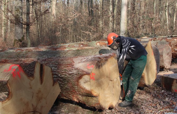 Die Brennholzsaison im Kreis Ludwigsburg beginnt erst. Holzklau ist hier vielleicht auch deshalb noch kein Thema. <span class='image-autor'>Foto: Archiv</span>