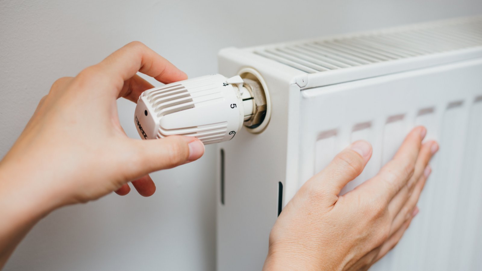 So finden Sie die Ursache für die kaltbleibende Heizung.Foto: Robert Petrovic / shutterstock.com
