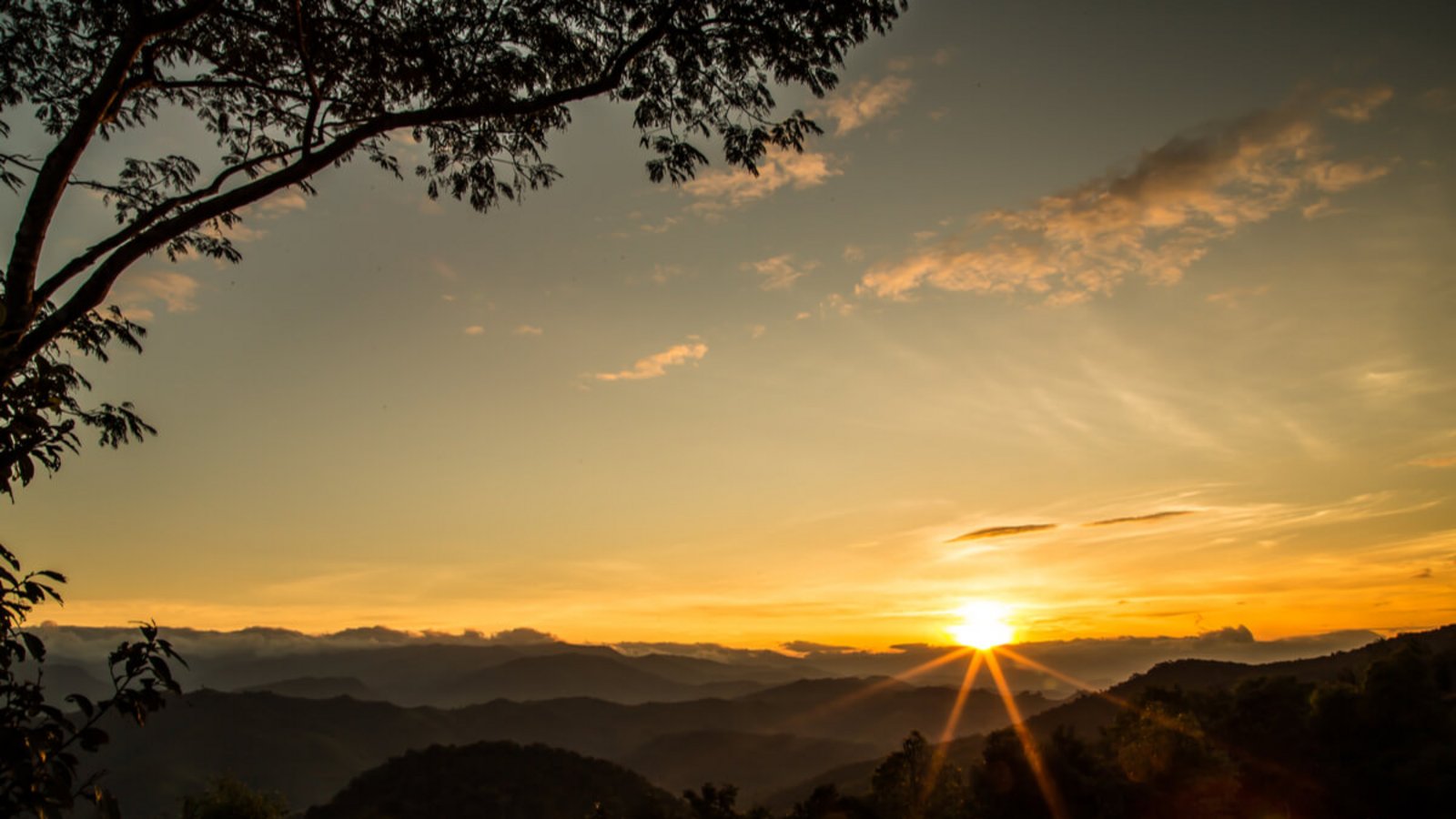 Hell wird es bereits vor dem Sonnenaufgang. Wie hell es in den Phasen der Morgendämmerung ist, erfahren Sie hier.Foto: Thanapon Ch / Shutterstock.com