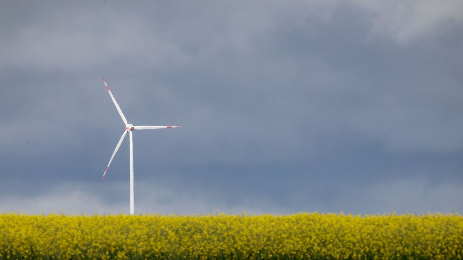 Dunkle Wolken ziehen hinter einem Windrad auf (Symbolbild)Foto: Thomas Warnack/dpa/Thomas Warnack