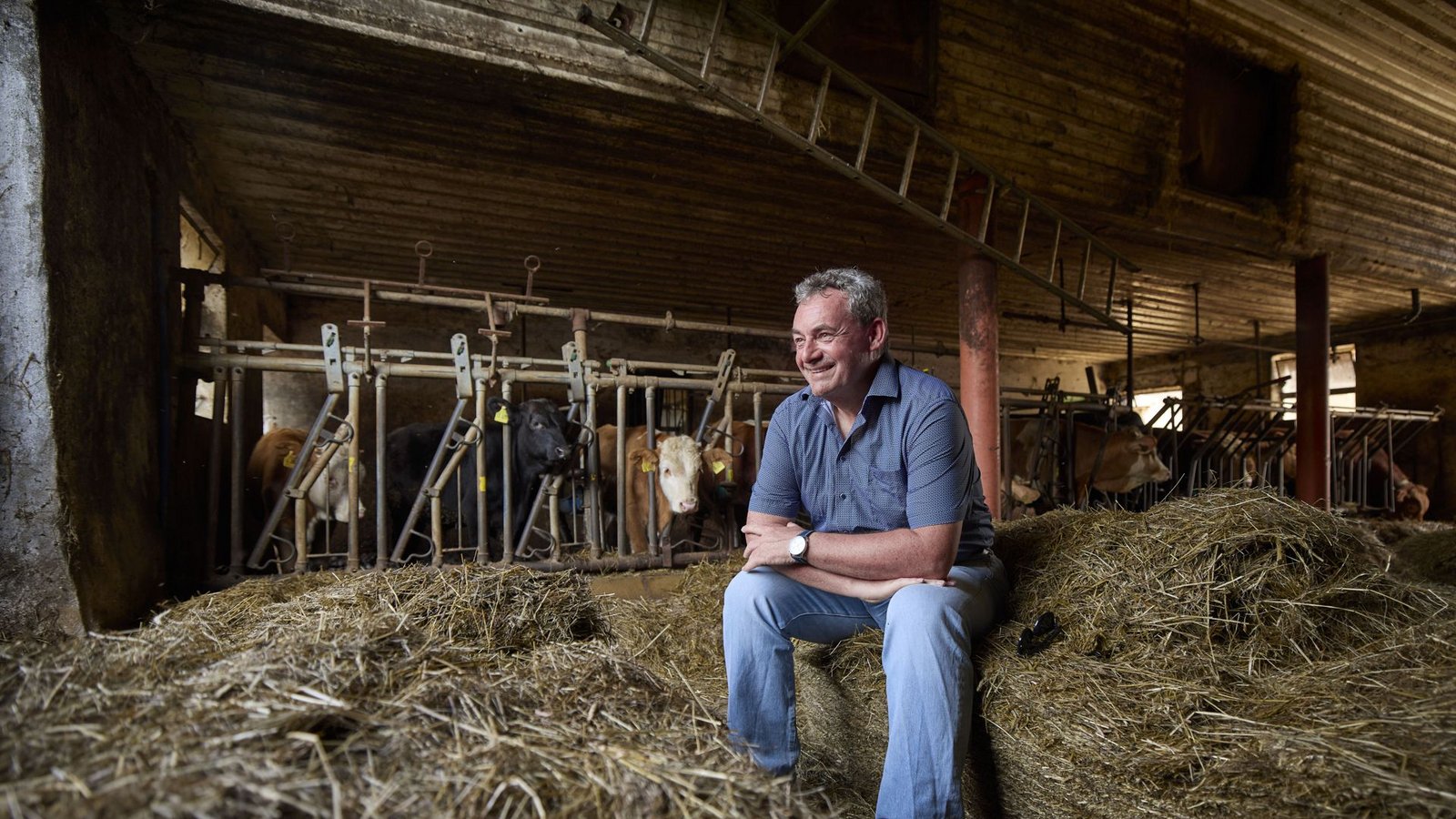 Der gelernte Agrartechniker Gerd Nefzer im Stall von Bauer Kraus mit den MastbullenFoto: Gottfried Stoppel