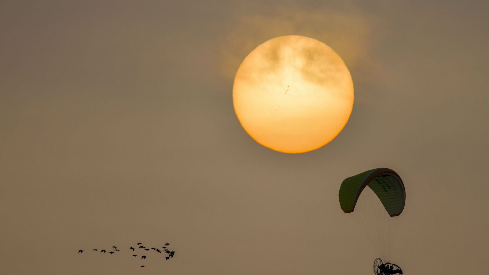 Es sieht so leicht aus auf diesem Foto, aber bis Andalusien ist es ein mühevoller Weg.Foto: /Antoine Joris