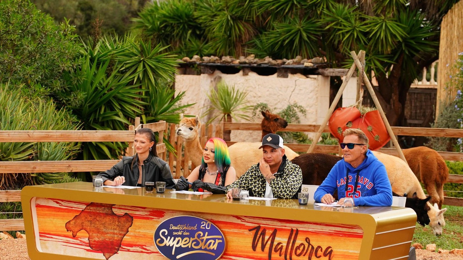 Die DSDS-Jury auf Mallorca: Leony, Katja Krasavice, Pietro Lombardi und Dieter Bohlen (von links).Foto: RTL / Stefan Gregorowius Die DSDS-Jury auf Mallorca: Leony, Katja Krasavice, Pietro Lombardi und Dieter Bohlen (von links).Foto: RTL / Stefan Gregorowius