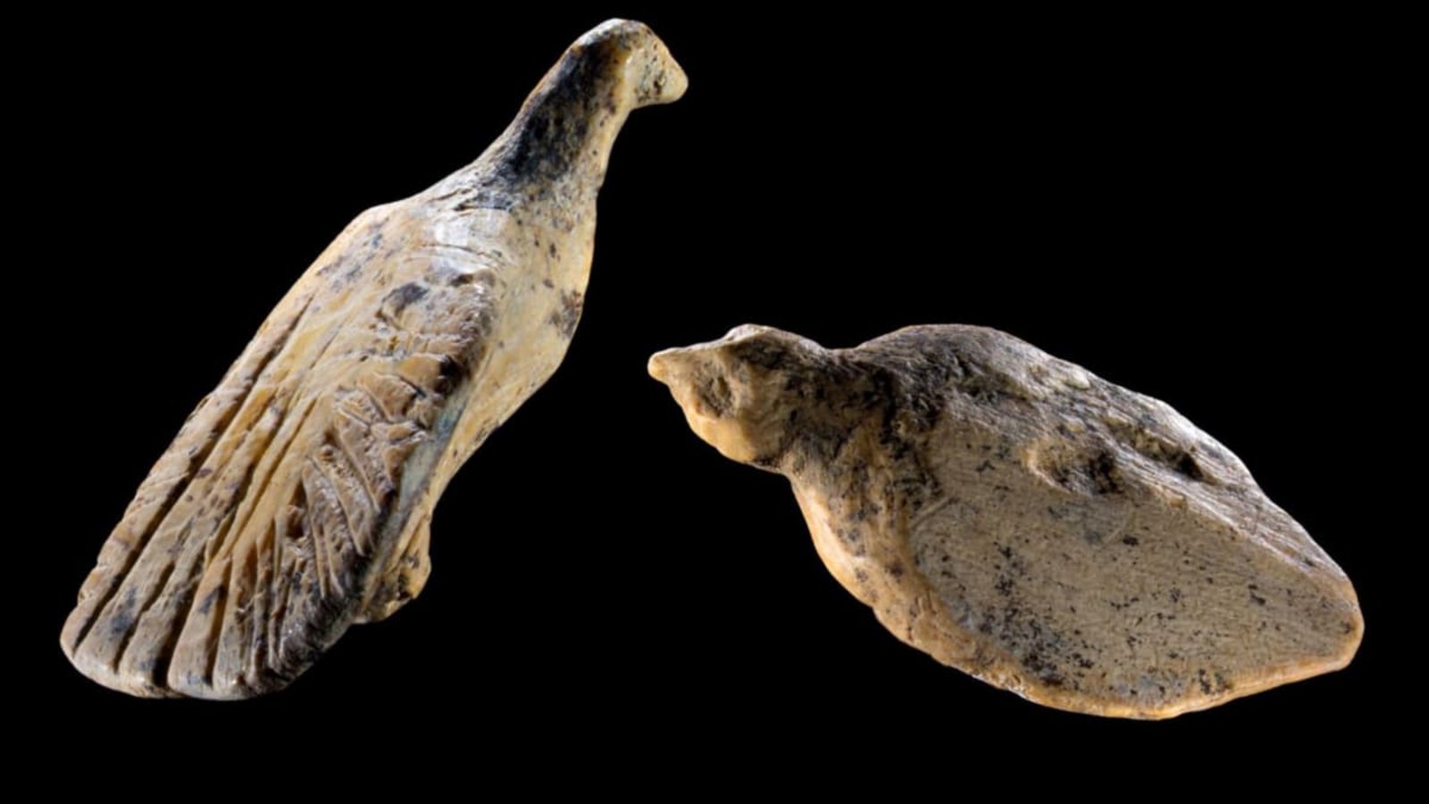 Mini-Vögel aus Elfenbein in Unesco-Höhle entdeckt.Ralf Ehmann/Universität Tübingen/dpa Mini-Vögel aus Elfenbein in Unesco-Höhle entdeckt.Ralf Ehmann/Universität Tübingen/dpa