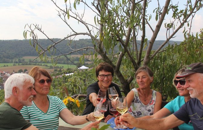 Gute Stimmung im Weinberg: die Genussmeile in Roßwag. Archivfoto: Kauer/VKZ
