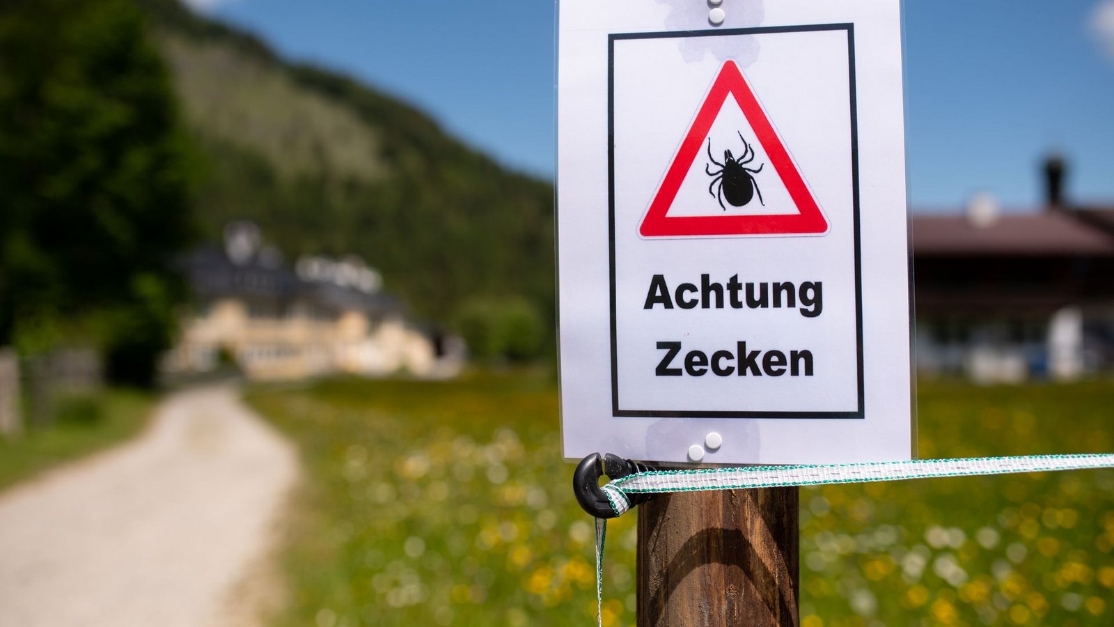 Nach einem Aufenthalt in der Natur sollte man sich unbedingt intensiv absuchen, denn diese stechen nicht sofort. Möglicherweise lässt sich so eine Infektion noch rechtzeitig verhindern. (Archivbild)Foto: Sven Hoppe/dpa