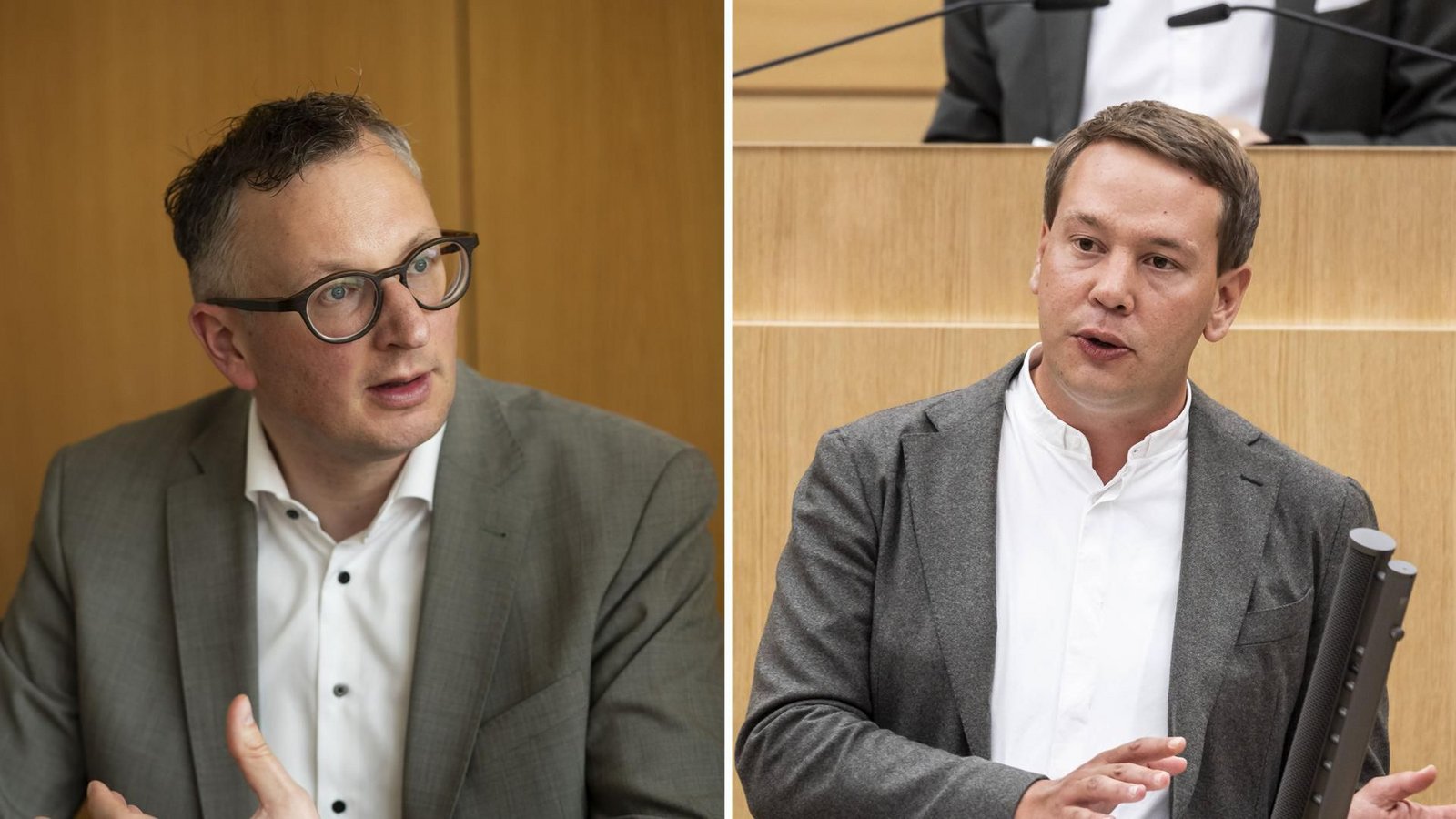 Grünen-Fraktionschef Andreas Schwarz und sein Vize Oliver Hildenbrand sorgen sich um Waffenträger bei der AfD.Foto: LICHTGUT Grünen-Fraktionschef Andreas Schwarz und sein Vize Oliver Hildenbrand sorgen sich um Waffenträger bei der AfD.Foto: LICHTGUT