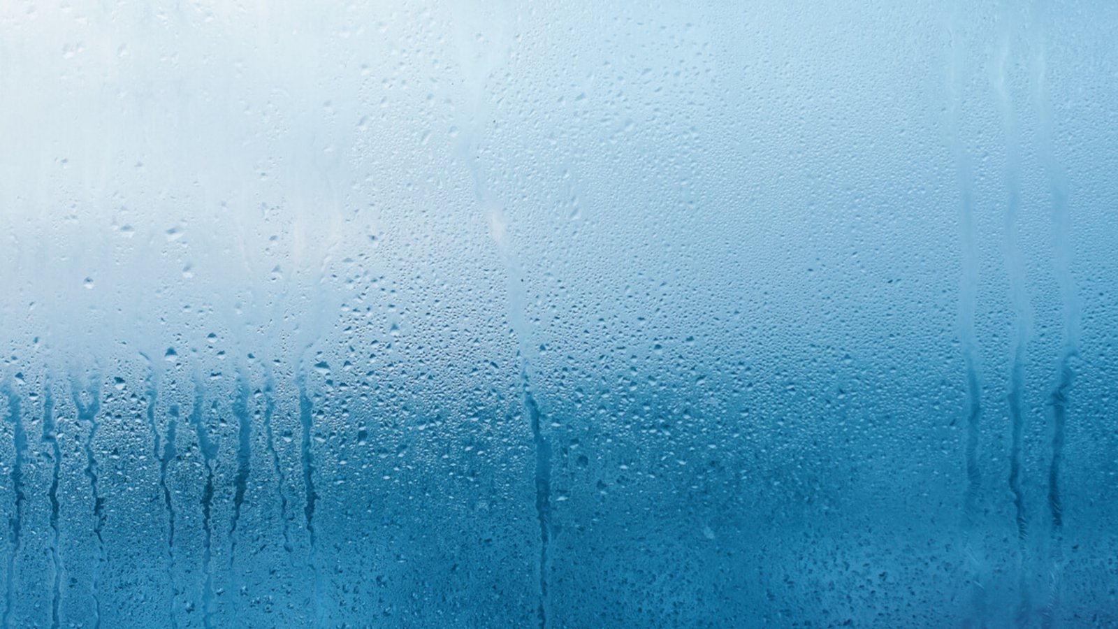 Erfahren Sie, warum Fensterscheiben von außen beschlagen und wie sich Kondenswasser an der Außenseite vermeiden lässt.Foto: PRO Stock Professional / Shutterstock.com Erfahren Sie, warum Fensterscheiben von außen beschlagen und wie sich Kondenswasser an der Außenseite vermeiden lässt.Foto: PRO Stock Professional / Shutterstock.com