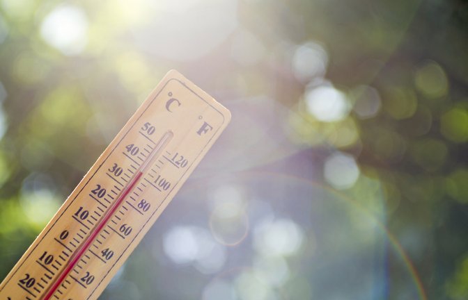 Erfahren Sie, wann 2024 Siebenschläfer ist und woher die Bauernregel kommt. (7-Schläfer: Datum, Herkunft & Wahrscheinlichkeit.<span class='image-autor'>Foto: Andrii Spy_k / Shutterstock.com</span>