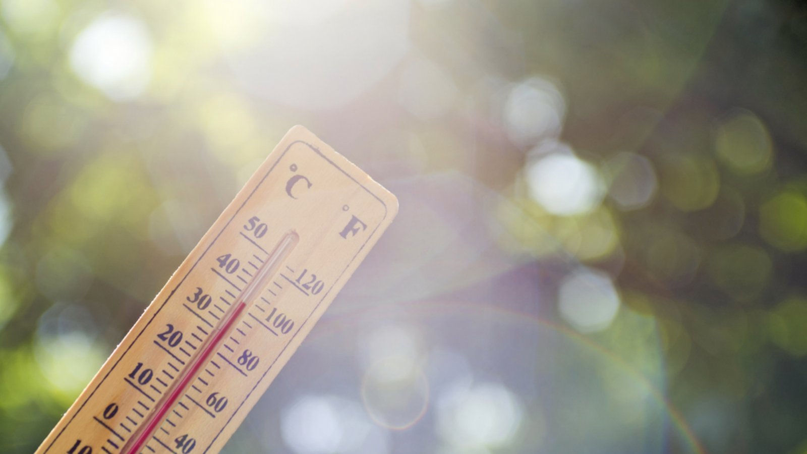 Erfahren Sie, wann 2024 Siebenschläfer ist und woher die Bauernregel kommt. (7-Schläfer: Datum, Herkunft & Wahrscheinlichkeit.Foto: Andrii Spy_k / Shutterstock.com Erfahren Sie, wann 2024 Siebenschläfer ist und woher die Bauernregel kommt. (7-Schläfer: Datum, Herkunft & Wahrscheinlichkeit.Foto: Andrii Spy_k / Shutterstock.com