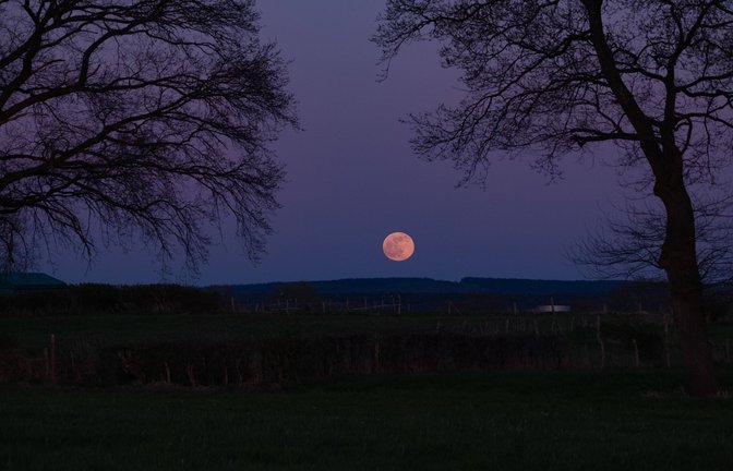 Der April-Vollmond wird auch „Pink Moon“ genannt. (Archivbild)<span class='image-autor'>Foto: IMAGO/Wassilis Aswestopoulos/IMAGO/wassilis aswestopoulos</span>