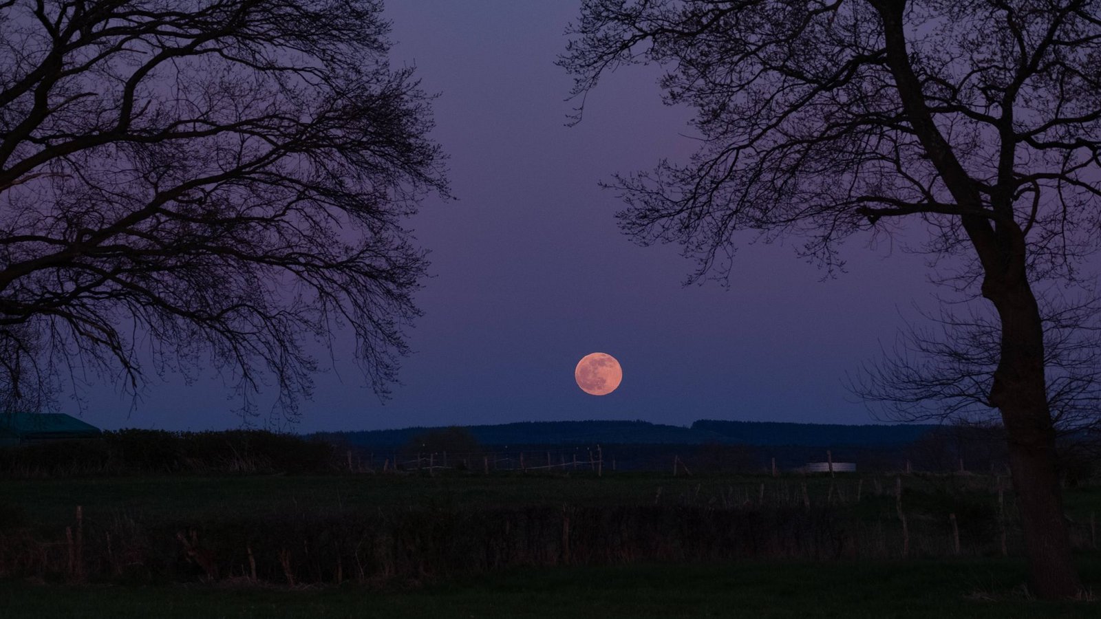 Der April-Vollmond wird auch „Pink Moon“ genannt. (Archivbild)Foto: IMAGO/Wassilis Aswestopoulos/IMAGO/wassilis aswestopoulos Der April-Vollmond wird auch „Pink Moon“ genannt. (Archivbild)Foto: IMAGO/Wassilis Aswestopoulos/IMAGO/wassilis aswestopoulos