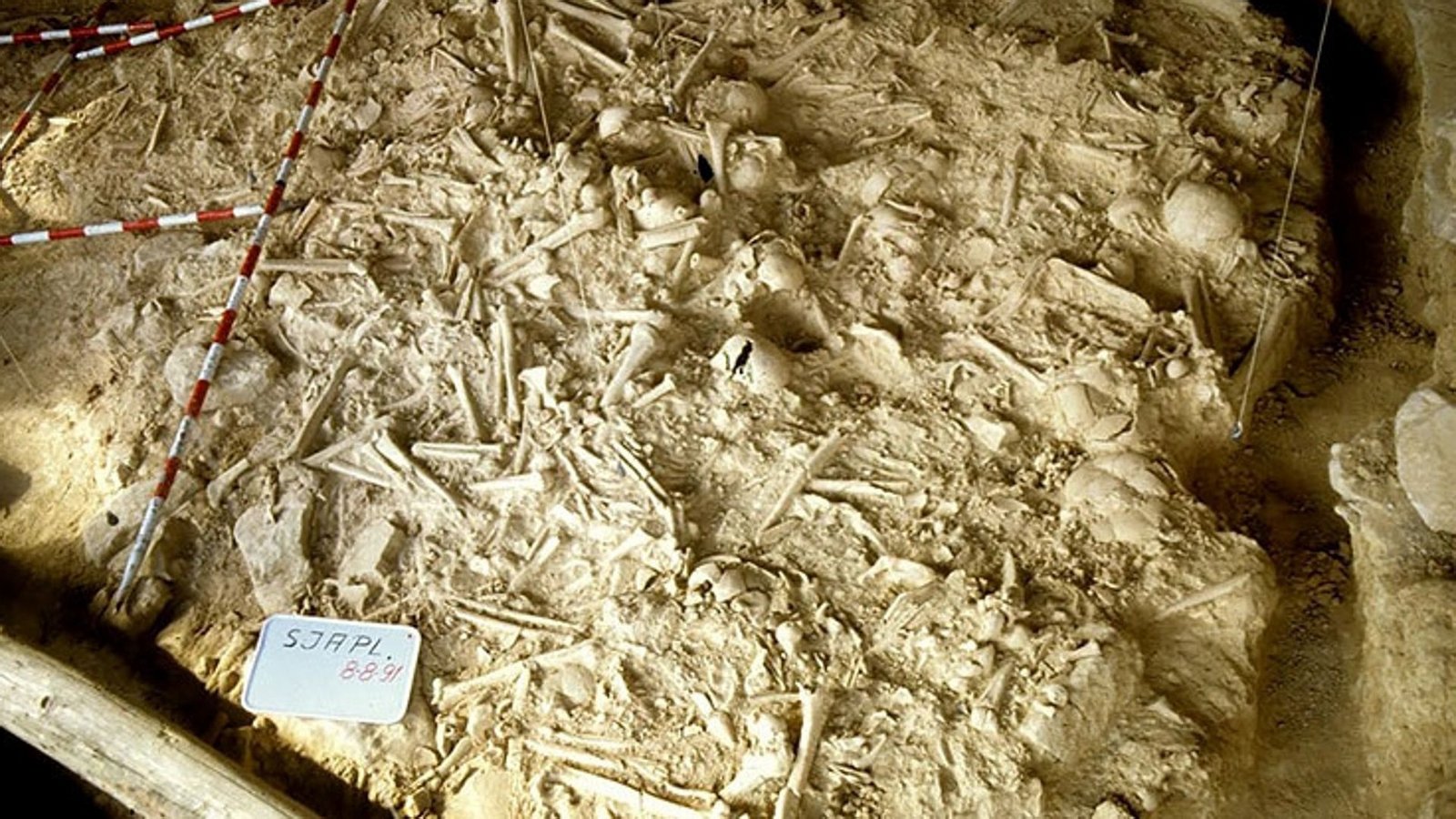 In diesem jungsteinzeitlichen Massengrab in der nordspanischen Region Rioja-Alavesa liegen die Gebeine von mindestens 338 Toten.Foto: © Fernández-Crespo et al./Scientific Reports, CC-/4.0 In diesem jungsteinzeitlichen Massengrab in der nordspanischen Region Rioja-Alavesa liegen die Gebeine von mindestens 338 Toten.Foto: © Fernández-Crespo et al./Scientific Reports, CC-/4.0
