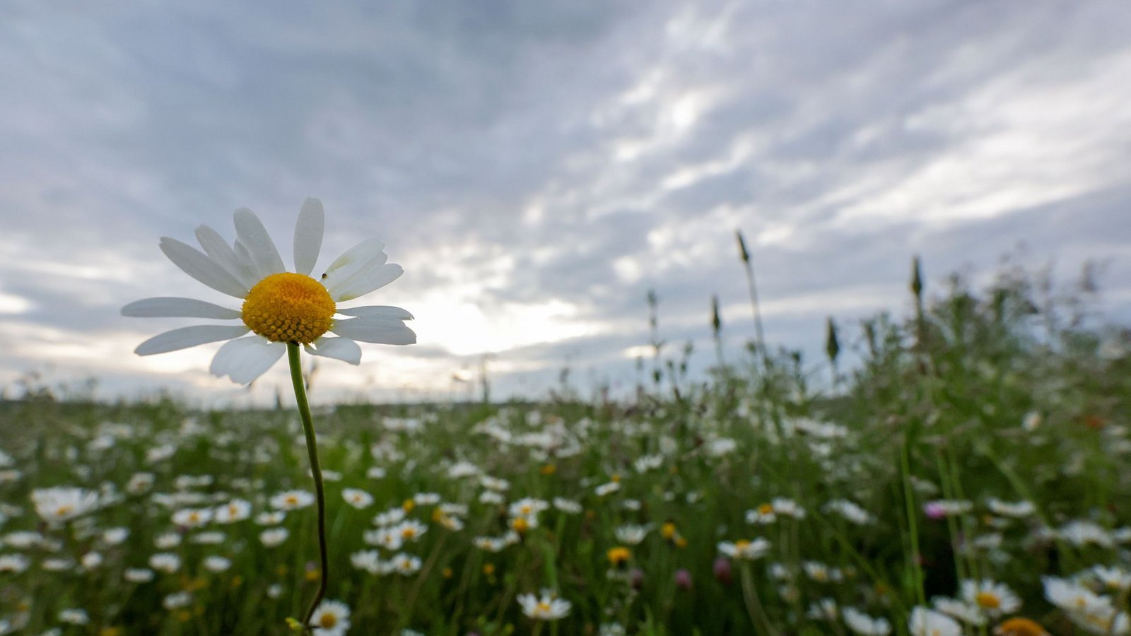 Im Südwesten beginnt die Woche vielerorts wechselns bewölkt.Foto: Thomas Warnack/dpa/Thomas Warnack