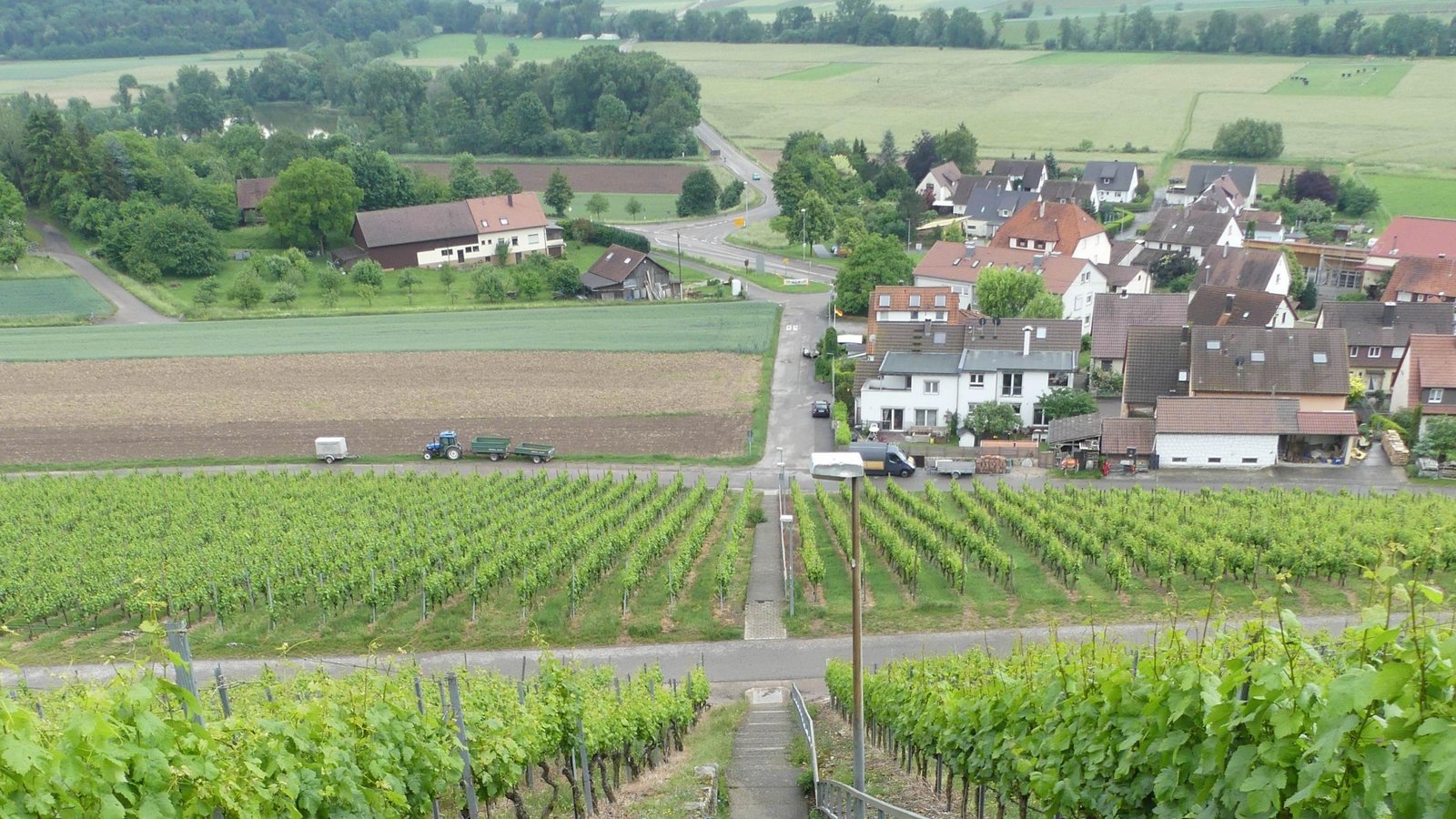 Tag der Hohenhaslacher Weingüter. Foto: Archiv