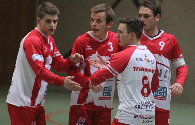 Die TVV-Faustballer Jakob Kilpper, Nils Hantke, Jacob Jungclaussen und Jaro Jungclaussen (von links) fiebern der ersten DM-Endrunde mit dem TV Vaihingen entgegen. <span class='image-autor'>Foto: Nachreiner</span>