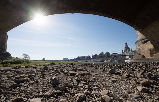 Niedrigwasser macht viele Flüsse unpassierbar für Schiffe. <span class='image-autor'>Foto: dpa-Bildfunk</span>