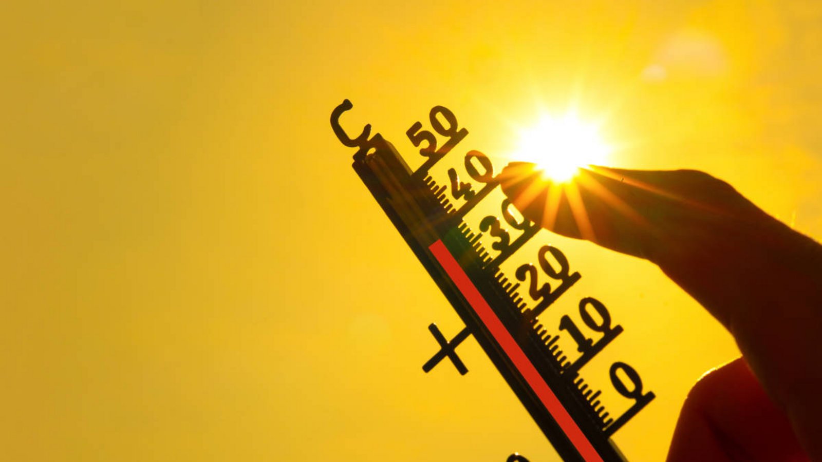 Warum Deutschland gerade unter extremer Hitze leidet, welche Wetterlage dahintersteckt und weshalb die Belastung in den kommenden Tagen noch deutlich zunehmen könnte.Foto: Corri Seizinger / Shutterstock.com