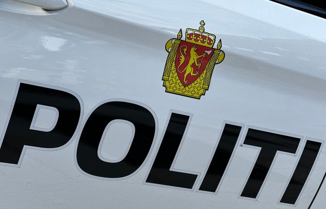 Die drei Männer starben nach Polizeiangaben noch an der Unfallstelle. (Symbolbild)<span class='image-autor'>Foto: Steffen Trumpf/dpa</span>
