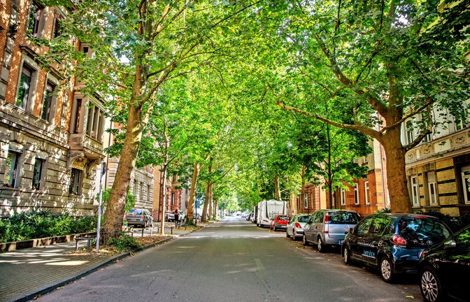 Um eine Stadt trotz Klimaerwärmung erträglich zu halten, helfen Bäume. Doch es gibt noch mehr Ideen.<span class='image-autor'>Foto: Lichtgut/Christoph Schmidt</span>