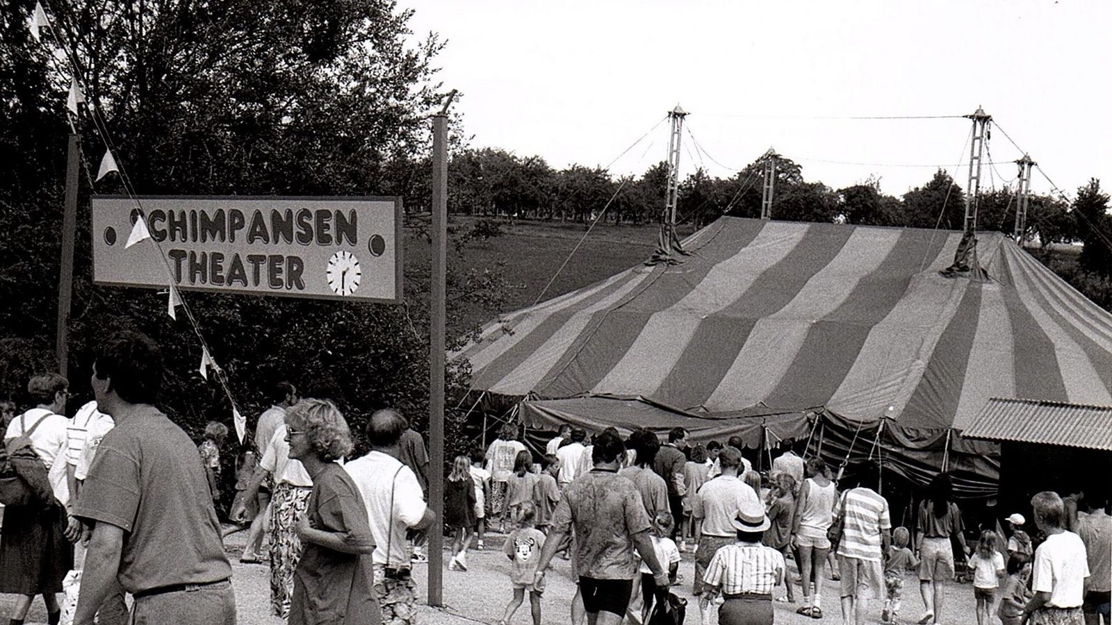 ... wurde der Freizeitpark in den 1980er Jahren in Schwabenpark umbenannt. Damals sorgten noch Schimpansen für Lacher, ...Foto: Schwaben-Park
