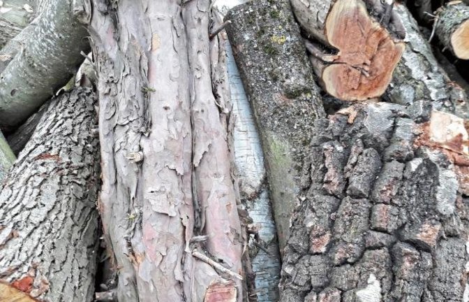 Kleine Borkenkunde: Buche, Kiefer , Platane, Birke, Eiche? Egal, Hauptsache warm. Gesehen im Kreuzbachtal.  Foto: Rücker