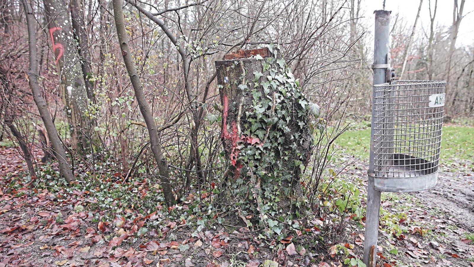 Auf dem Waldparkplatz zwischen Großglattbach und Aurich geschah der brutale Mord. Foto: Archiv Auf dem Waldparkplatz zwischen Großglattbach und Aurich geschah der brutale Mord. Foto: Archiv