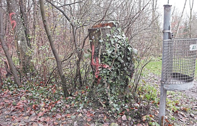 Auf dem Waldparkplatz zwischen Großglattbach und Aurich geschah der brutale Mord. Foto: Archiv