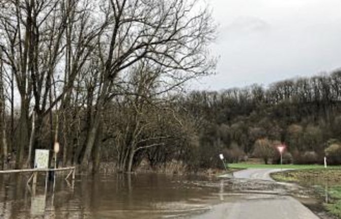 In Oberriexingen ist gestern die Enz über die Ufer getreten.  Foto: Wittendorfer