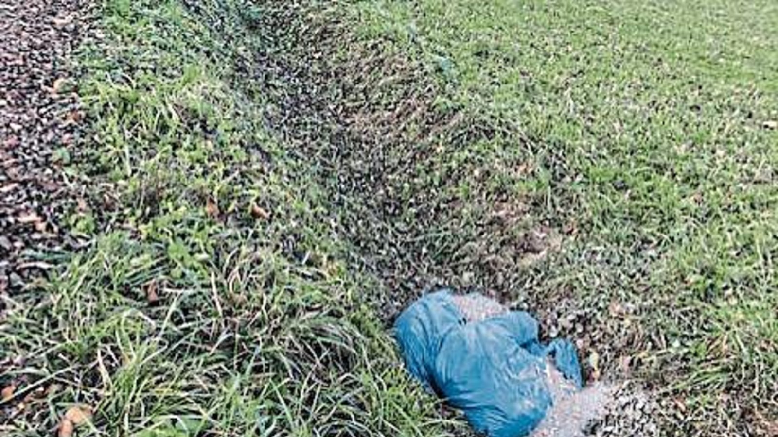 Ganz schön rücksichtslos: Im Wassergraben am Weg zum Schützenhaus in Riet wurden am Sonntag zwei blaue Müllsäcke gefüllt mit einer Mischung aus Zigarettenkippen und Sand entdeckt. Wer Hinweise auf die Verursacher geben kann, wird gebeten, sich direkt an die Technischen Dienste der Stadt Vaihingen zu wenden. Foto: pv Ganz schön rücksichtslos: Im Wassergraben am Weg zum Schützenhaus in Riet wurden am Sonntag zwei blaue Müllsäcke gefüllt mit einer Mischung aus Zigarettenkippen und Sand entdeckt. Wer Hinweise auf die Verursacher geben kann, wird gebeten, sich direkt an die Technischen Dienste der Stadt Vaihingen zu wenden. Foto: pv