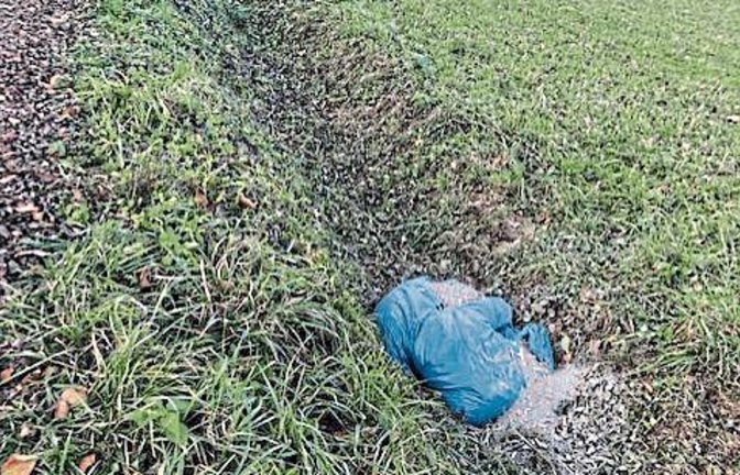 Ganz schön rücksichtslos: Im Wassergraben am Weg zum Schützenhaus in Riet wurden am Sonntag zwei blaue Müllsäcke gefüllt mit einer Mischung aus Zigarettenkippen und Sand entdeckt. Wer Hinweise auf die Verursacher geben kann, wird gebeten, sich direkt an die Technischen Dienste der Stadt Vaihingen zu wenden.  Foto: pv