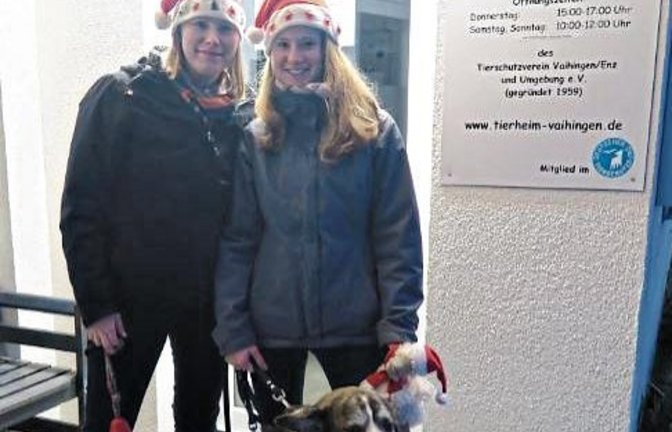 Beim Tierschutzverein Vaihingen bereitet man sich schon auf den Vaihinger Weihnachtsmarkt am 2. Dezember vor. Erstmals gibt es an dem Stand vegane Waffeln. Und so ist Tierheim-Hund Nicky schon in Weihnachtsstimmung. Foto: p