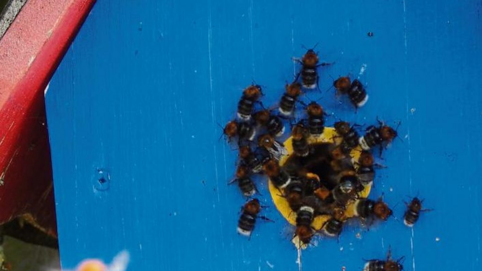 Zweckentfremdung des Wohnraums schreibt Edwin Drasdow aus Enzweihingen unter sein Bild.