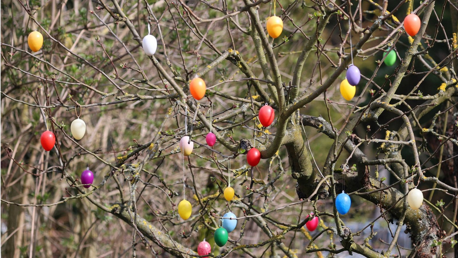 In wenigen Tagen feiern Christen das Osterfest. (Symbolbild)Foto: IMAGO/Karina Hessland/IMAGO/KH In wenigen Tagen feiern Christen das Osterfest. (Symbolbild)Foto: IMAGO/Karina Hessland/IMAGO/KH