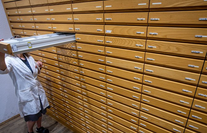 Eine Mitarbeiterin sucht rezeptpflichtige Medikamente aus einem Apothekenschrank einer Apotheke. Bundesweit gibt es Medikamentenmangel in Arztpraxen (Symbolfoto).<span class='image-autor'>Foto: dpa/Jens Büttner</span>
