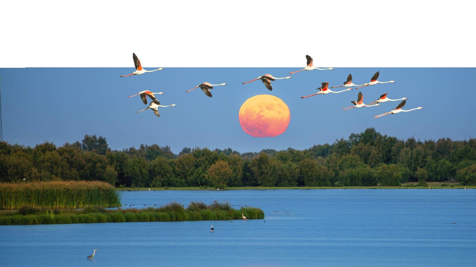 Abendstimmung in  Doñana.Foto: imago images